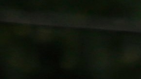 Aumentará despliegue de oficiales de Policía durante el fin de semana del Día de los Caídos.