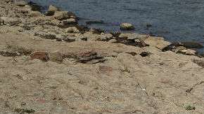 Este aumento podría atribuirse a factores externos como las emisiones de gases de efecto invernadero.