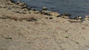 Este aumento podría atribuirse a factores externos como las emisiones de gases de efecto invernadero.