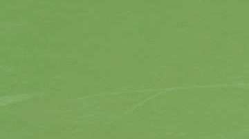 Alize Cornet se cambió la remera en pleno partido y recibió una advertencia