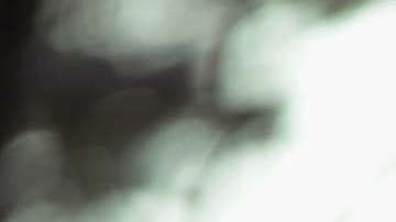 El presidente Trump busca reducir el movimiento contra ICE.