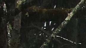 La crecida del río Wailuku River en la Isla Grande de Hawaii.