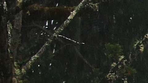 La crecida del río Wailuku River en la Isla Grande de Hawaii.