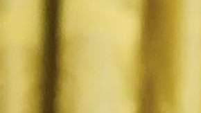 La imagen en pocos minutos cautivó a los internautas