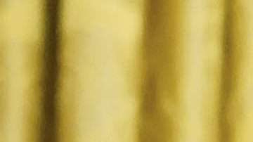 La imagen en pocos minutos cautivó a los internautas