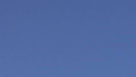 Inmigrante detenido. John Moore/Getty Images