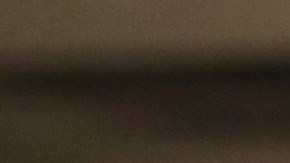 Al transferir casos de una oficina a otra, USCIS busca equilibrar su carga de trabajo.