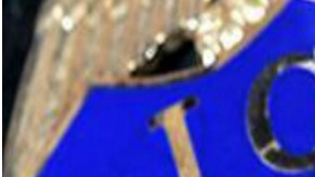 Investigación del Southern Poverty Law Center (SPLC) y The Newark Star-Ledger hizo la revelación