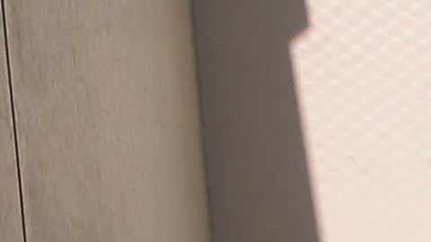 Decenas de niños y adolescentes están encerrados en cárceles migratorias.