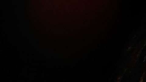 Johnny Depp en problemas.