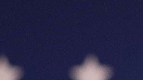 Los demócratas Bernie Sanders, Joe Biden y Elizabeth Warren derrotarían a Trump en 2020