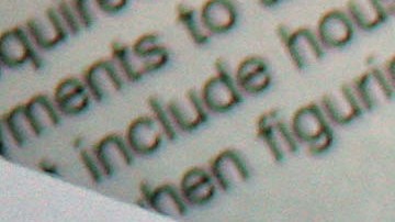 Todos los inmigrantes deben pagar impuestos.