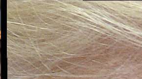 Los temores de la comunidad internacional no eran infundados