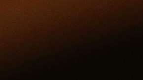 El senador John McCain.