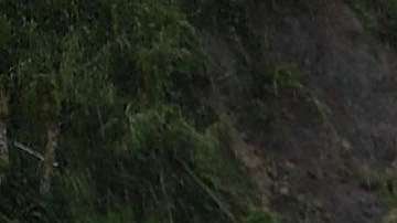 Efectos del devastador paso del huracán María por el pueblo de Barranquitas, Puerto Rico.