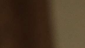 En marzo pasado, Trump condicionó su plan  tarifario a las negociaciones actuales de NAFTA