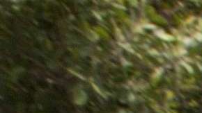 AMLO tomará las riendas de México el próximo 8 de diciembre