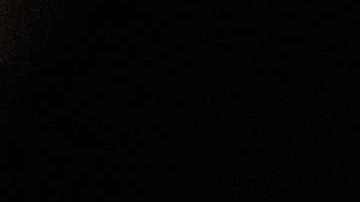 El presidente Donald Trump.