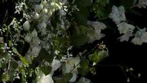 Meghan y Harry se casaron en mayo de 2018.