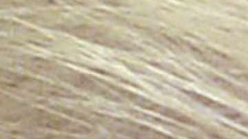 Las salidas en falso de Trump en Twitter podrían costarle caro