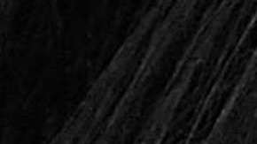 El costo del desfile ascendía a 92 millones de dólares