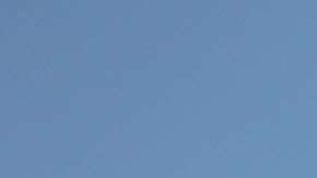 Activistas protestan por la separación de familias.