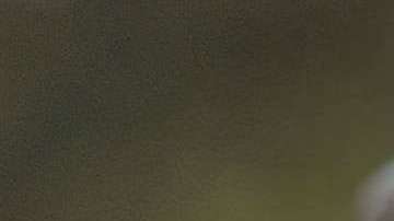 Sus atuendos serían una forma de atacar en silencio a su esposo