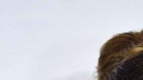 Halle Berry, el príncipe Harry y Meghan Markle.