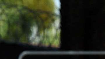 El defensa de Chivas, Hedgardo Marín, sufrió un accidente de auto