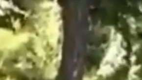 El incidente fue captado en video.