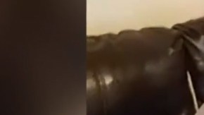 La hondureña María Isabel Guzmán dormía  en su vivienda cuando llegaron los agentes de ICE.