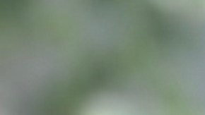 Denise Nuñez y Ana Nuñez, de la Fundación Niño de la Caridad.