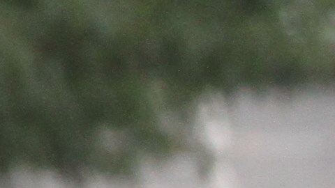 Auto que da servicio de Uber.