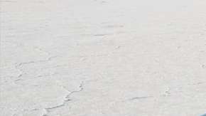 Un sueño con sangre mexicana.