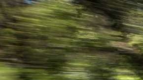 Confiables y amables con el planeta