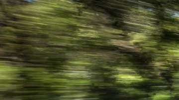 Confiables y amables con el planeta