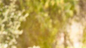 Todo un “colocón” químico que provoca mayor felicidad, reduce los efectos negativos del estrés, y favorece que se disparen los sentimientos de placer.