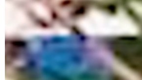 El alcance de la red de  “La Madame” era internacional.