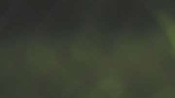 Si cocinas constantemente a la leña o con carbón, perjudicas tu salud.