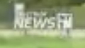 Los cuidadores del parque están capturando a los mapaches.