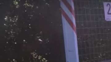 Cruzó el océano para correr.