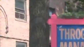 Throggs Neck Houses, El Bronx (NYC).