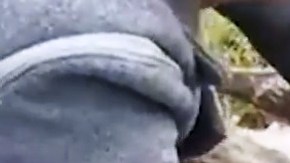 La salida de la criatura a la luz