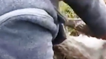 La salida de la criatura a la luz