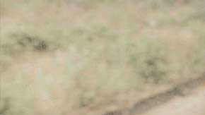 Descubrir lo que realmente nos gusta no es sencillo.