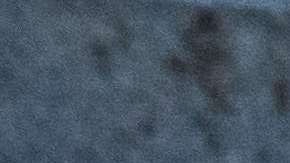 Tenis Nike. Paul Volkmer / UnSplash