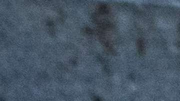 Tenis Nike. Paul Volkmer / UnSplash