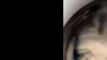 Cuco estaba desesperado por salir.