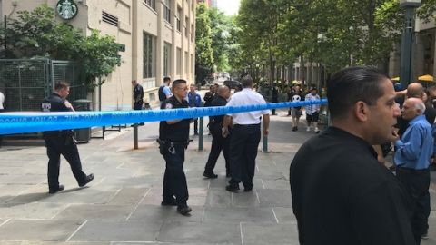 Decenas de policías acordonaron el área de MetroTech en minutos.