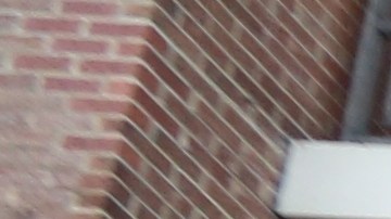 Inquilinos de la Avenida Washington en el Bronx se quejan del casero y cuentan con el apoyo del Concejal Ritchie Torres.
